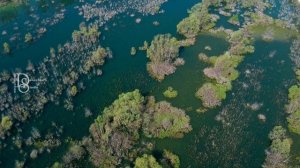 Меловые горы