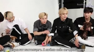 Monsta X отвечают на вопросы фанатов играя с пёсиками