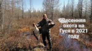 Весенняя охота на Гуся в 2021 году