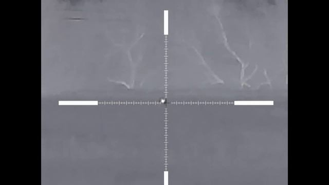 Нашествие ч.2. С «болтовиком» и электронным манком «ecotec». смотреть онлайн