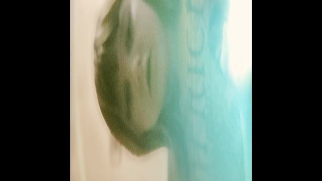 долго жданный влог смотреть онлайн