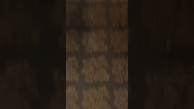 Скоростной поезд KTX в Корее~мы живем в 2123году #ktx #korea #travelvlog смотреть онлайн