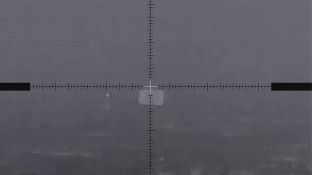 Стреляю 300 метров с тепловизора Rico RL42, винтовкa CZ 527 калибр 223 rem смотреть онлайн