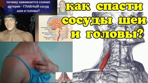 Задняя лестничная мышца ЗАЖИМАЕТ главный сосуд шеи и мозга. Методы декомпрессии