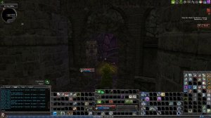 Dungeons & Dragons Online: R1 Solo - Dirty Laundry