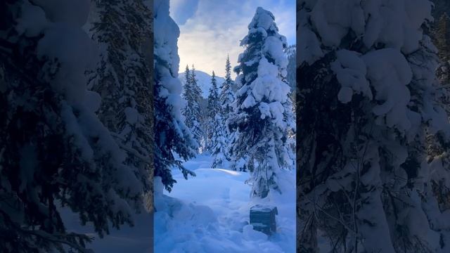 В зимнюю сказку на сноубайке #зимавсердце #2024 #мояжизнь #snow #2024 #ktm #music #enduro #зима