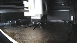 3D принтер Bambu Lab P1S
spider