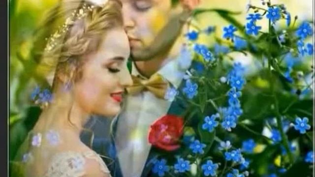 Верона Шумилова, Любить до дна..., муз. и исп. #СамуилФрумович смотреть онлайн