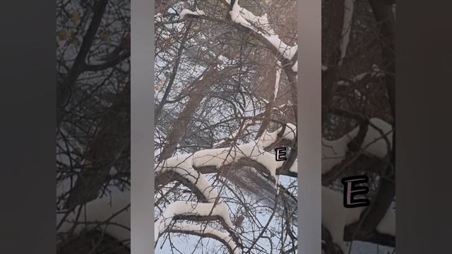 13 октября АСТРОЛОГИЯ  ДНЯ,Гадаю онлайн,магия в помощь.#13октября #астрологиядня #гадаюонлайн #магия