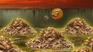 Annoying Orange - Haunted Leaf Pile #Shocktober