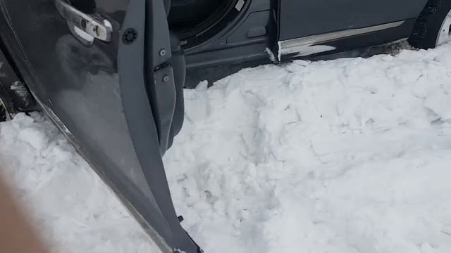 Toyota Hailender