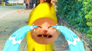 Banana Cat VS Apple Cat Battle on the Boat!!!