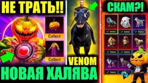 НЕ ТРАТЬ ЭТИ МОНЕТЫ! УСПЕЙ ЗАБРАТЬ НОВУЮ ХАЛЯВУ и ВЕНОМ в PUBG MOBILE! ОЛД ПИТОМЫ ВЕРНУЛИ