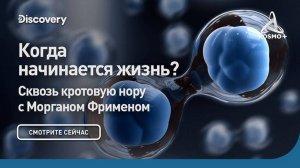 СКВОЗЬ КРОТОВУЮ НОРУ С МОРГАНОМ ФРИМЕНОМ: КОГДА НАЧИНАЕТСЯ ЖИЗНЬ? | DISCOVERY