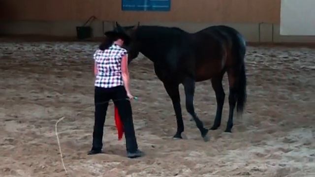 Zirkuslektionen Melchnau 2009 смотреть онлайн