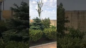 Золотой якорь Гудаута