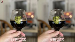 Gopro Hero 11 Black Vs Gopro Hero 9 Black | Camera Test