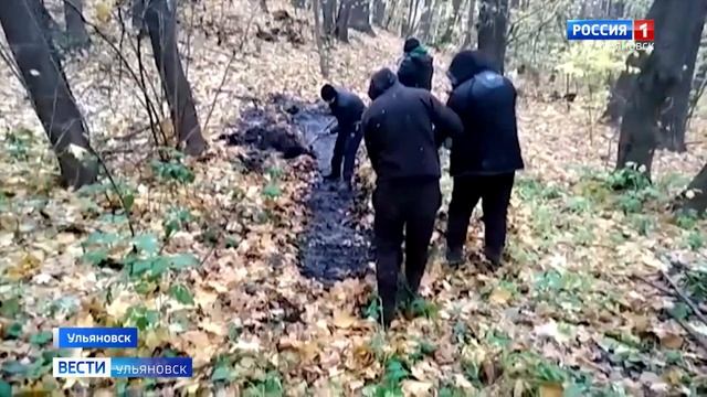 В парке Винновская роща убирают нефть