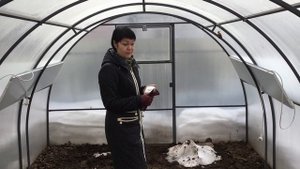 Обогреватели для теплицы