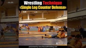 Single Leg Counter Defense - Wrestling Technique