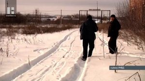 23 тонны семечек воры похитили в Мучкапе