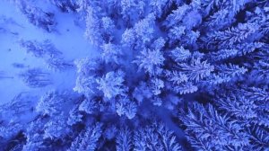 Музыка в Новом формате 2019 Давай с тобой посидим, Просто так!