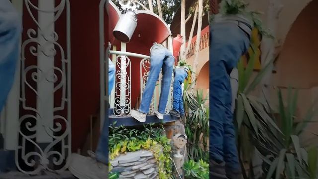 Ресторан национальной кухни- Фель Феля в Каире, около пирамид! смотреть онлайн