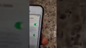 iPhone 5S A1533 LTE Работает