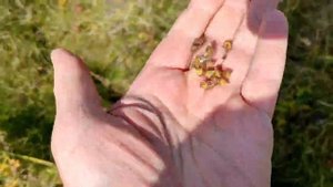 Поездка на велике на родник за водой
