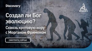 СКВОЗЬ КРОТОВУЮ НОРУ С МОРГАНОМ ФРИМЕНОМ: СОЗДАЛ ЛИ БОГ ЭВОЛЮЦИЮ? | DISCOVERY