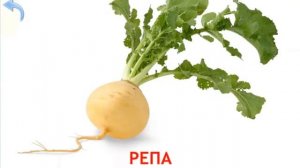 Учим Овощи  Развивающие мультики для детей  Изучаем Овощи