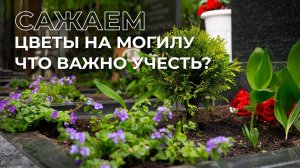 Как правильно посадить растения на могиле!