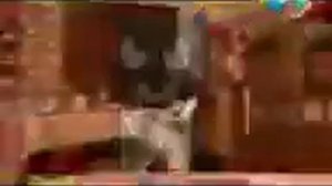 Рыжий Кот и Й Вырезанный фрагмент (18.02.2017) (Перезалив)