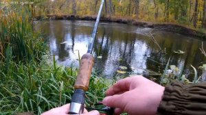 Река Оскол Белгородская область город Валуйки ловля щуки на спиннинг ..