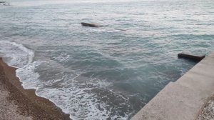 Сочи Голубая дача 2024