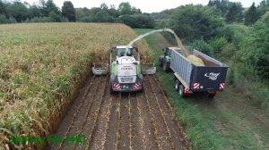 Maishäckseln 2018 Teil 2 LU Krumm mit Claas Jaguar 950, JCB, Deutz [4K]