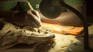 Череп гигантского ленивца обнаружен в Аргентине