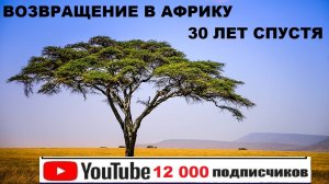 12 000 ПОДПИСЧИКОВ НА ЮТЮБЕ. Я ВОЗВРАЩАЮСЬ В АФРИКУ !