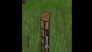 выживание бомжа