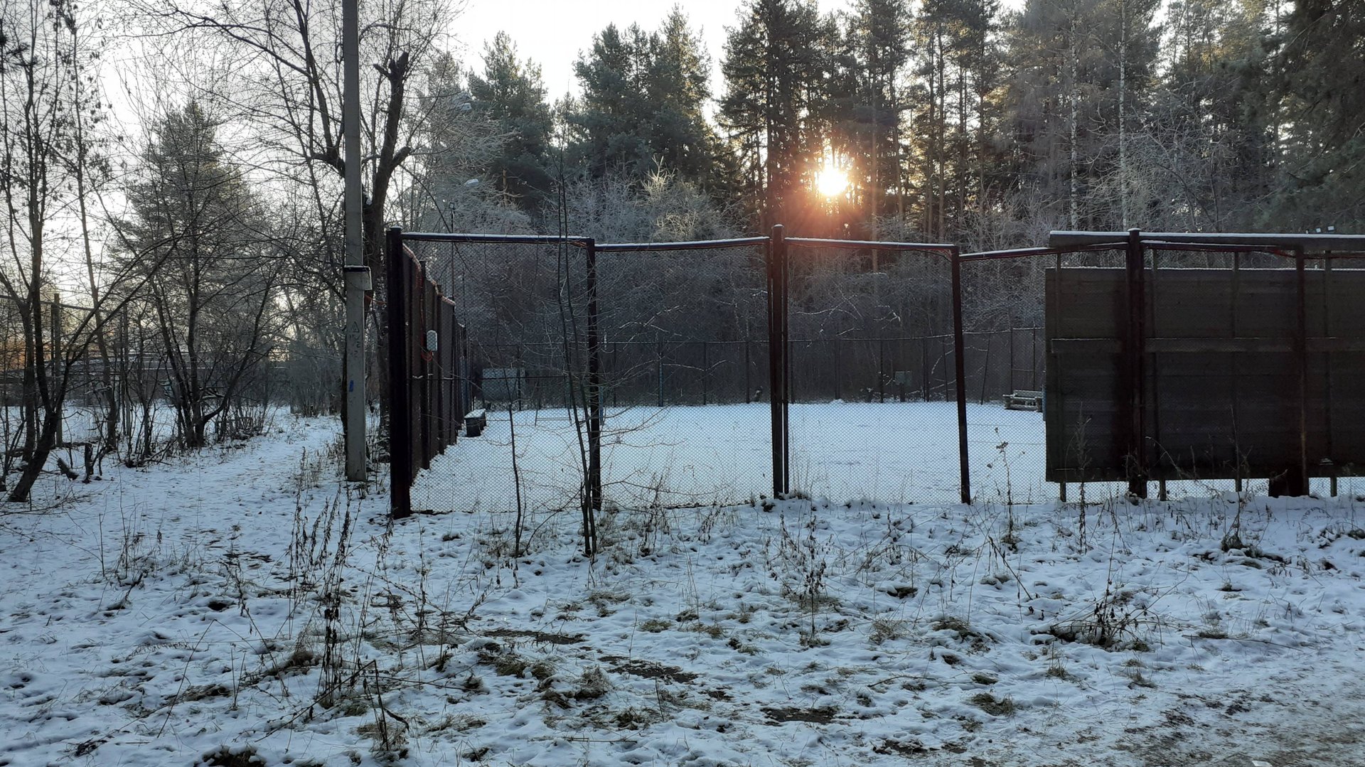 Зимний лес смотреть онлайн