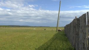 Установка электро пастуха!!!