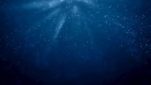 Sea Wonderland