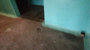 ЛИФТ VTM, И УЖЕ НЕ РАБОТАЮТ ТАБЛО СНАРУЖИ И ВНУТРИ!