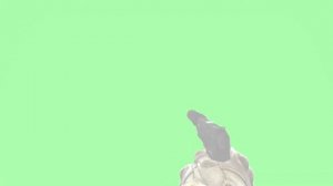 CS:GO Flash Bang Granade Green Screen