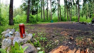 Пострелушки из воздушки | Тест 240 Кадров