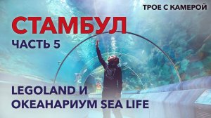 Стамбул. Часть 5. Legoland и Океанариум Sea Life. Трое с камерой