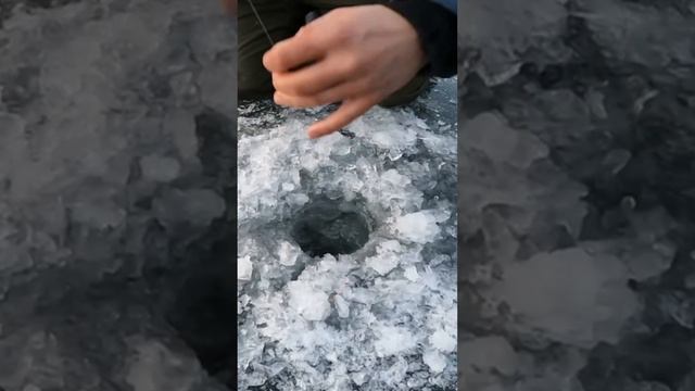 ПОЛНОСТЬЮ РАЗМОТАЛА ЩУКА #зимняярыбалка #рыбалкавнорвегии #щука