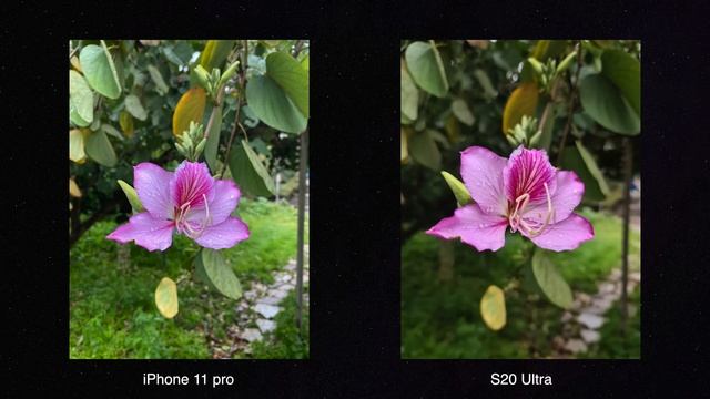 iPhone 11 Pro max / S20 Ultra | ?מה עדיף