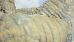 Jet jaguar vs Redking