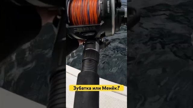 Что за рыба ВЗЯЛА? #рыбалка #рыбалкавнорвегии #морскаярыбалка